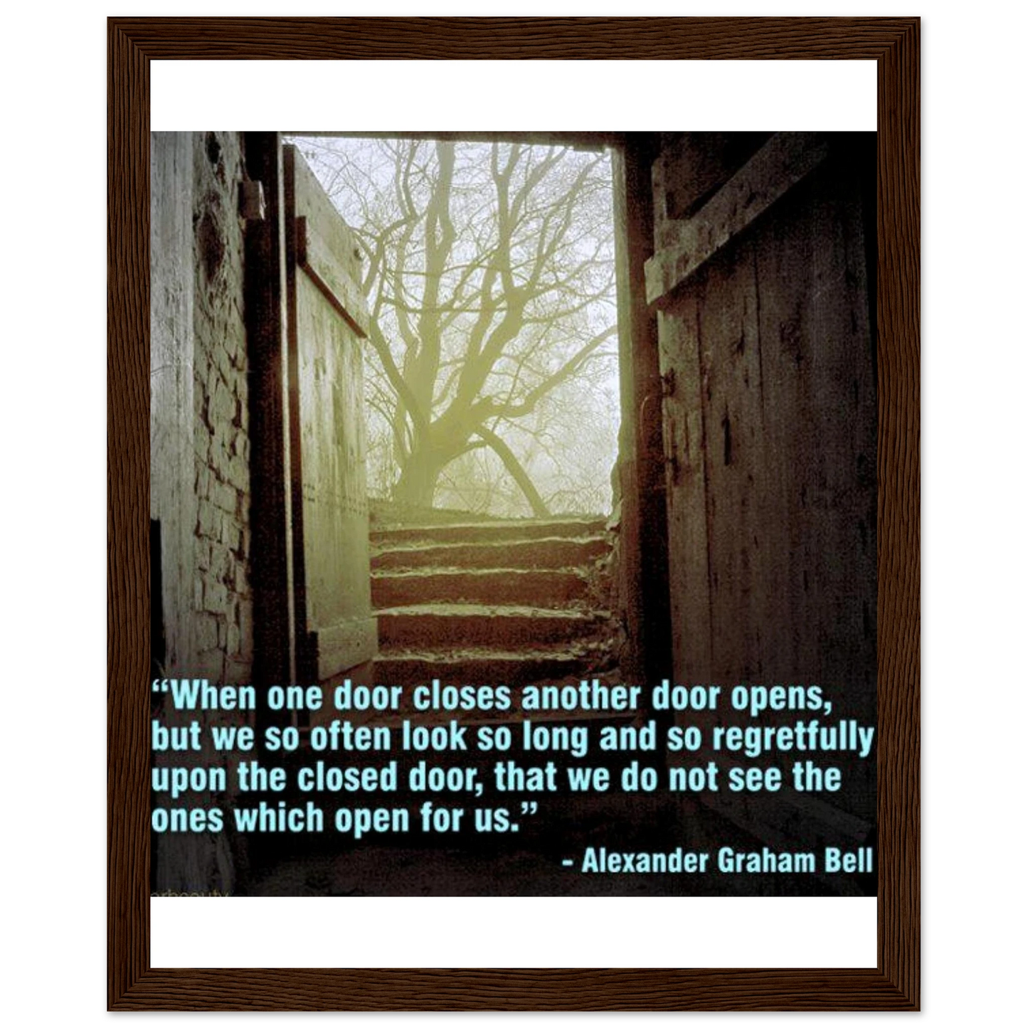 6bf3b275-ebf0-41de-a514-fda4c66e250e