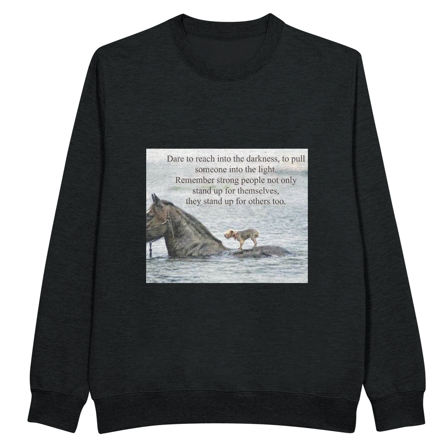 88ff5567-d536-4c2e-8be9-81c90be9d342