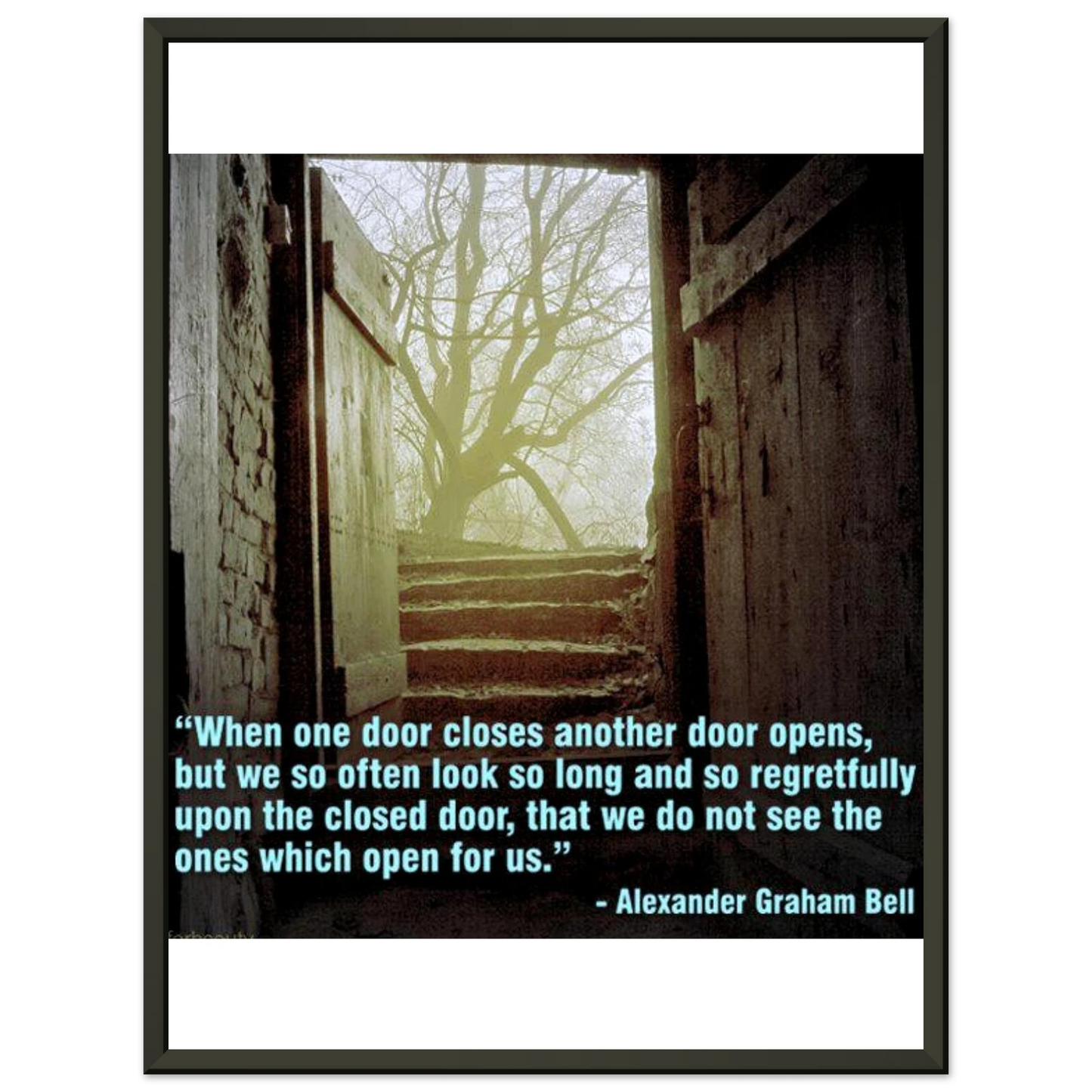 a1d00a13-d8a0-473d-8c57-165c1b6d07d3