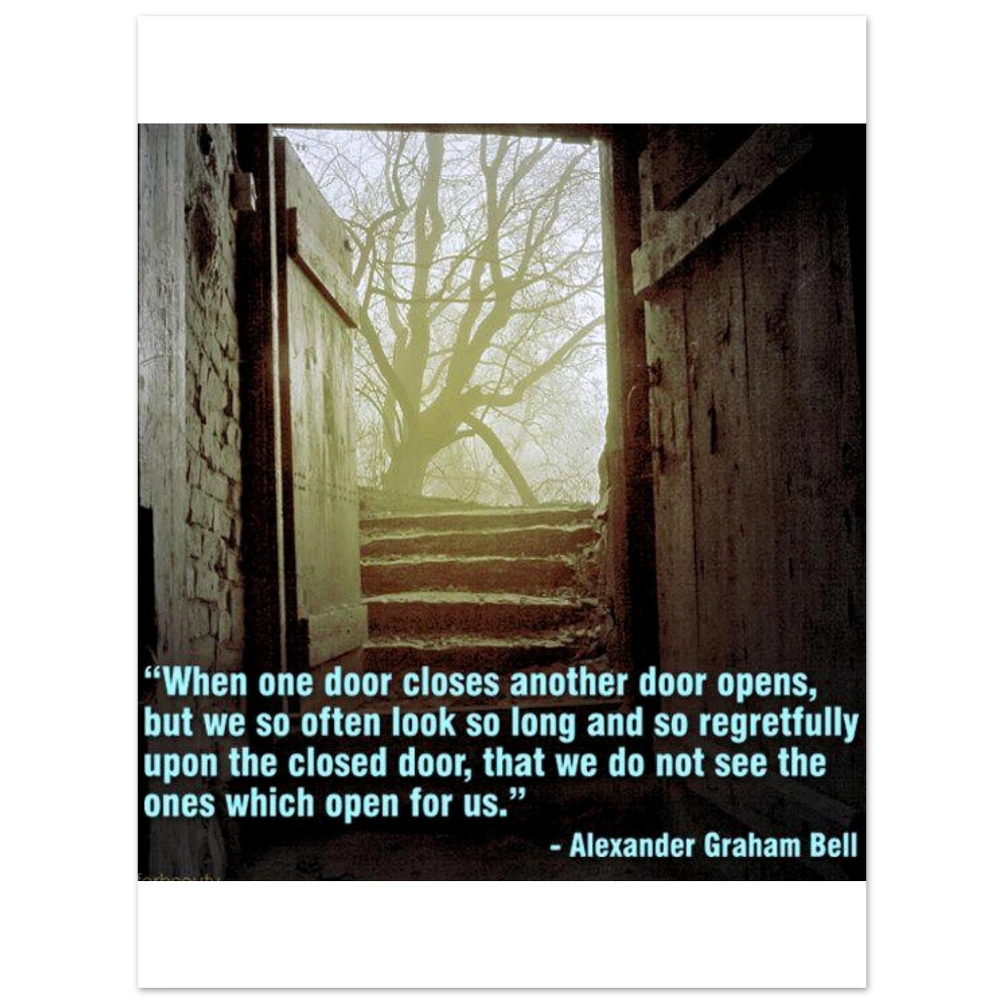 a5a432f2-8a2a-4eb8-8df1-e23f468ce93c