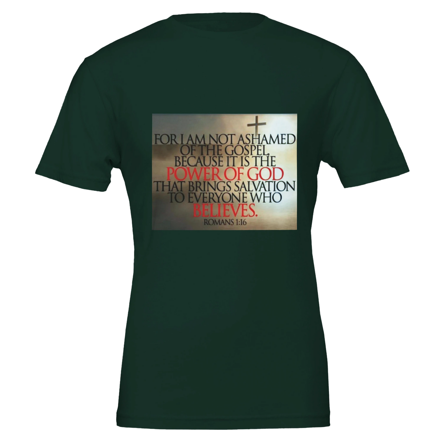 00ae4866-7aec-4ecf-a4c0-309d83b07c36