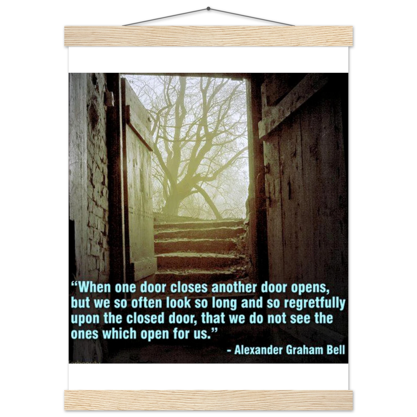 0ced691a-87ff-4e63-ba31-052639ebb44b