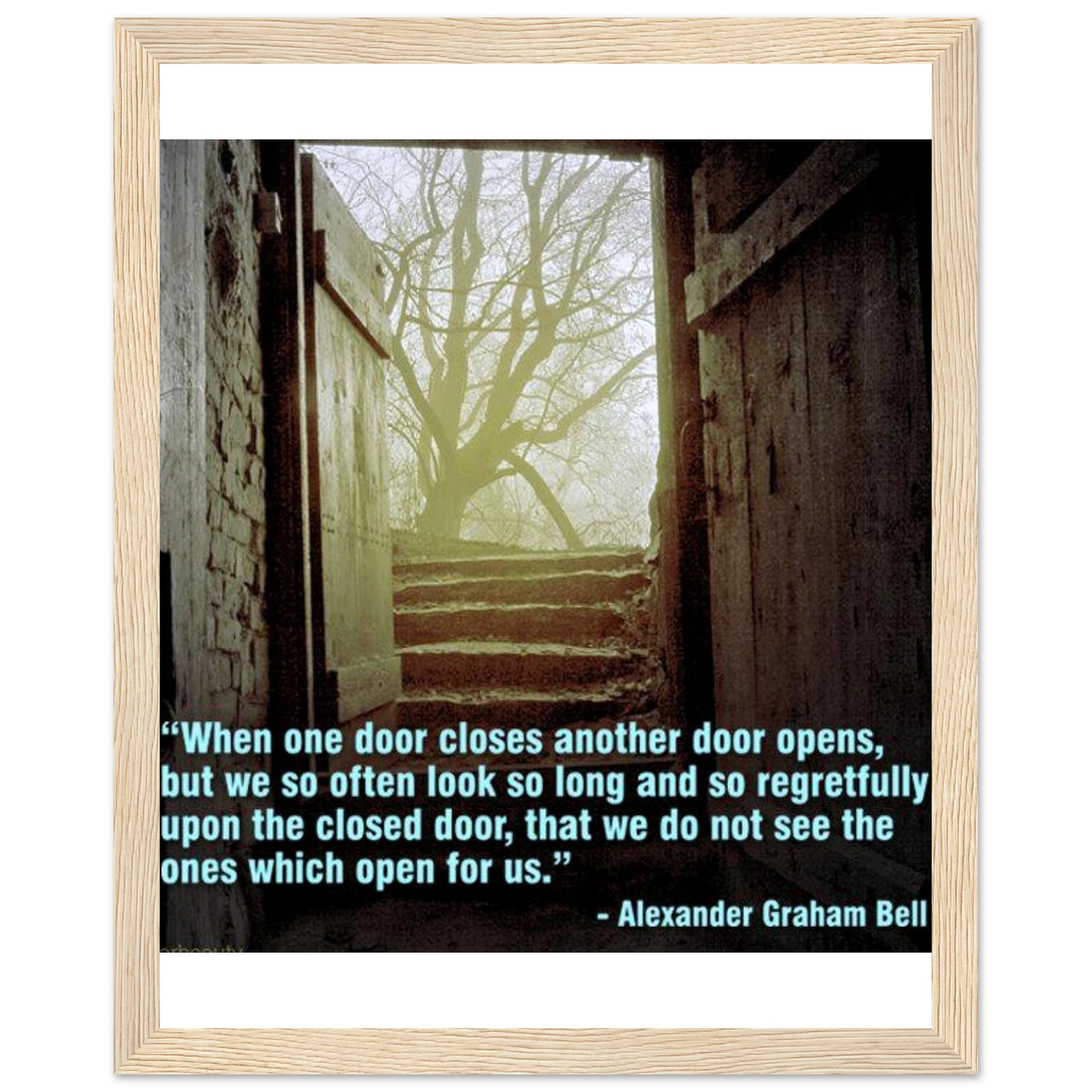 141cfbd1-d1d7-4e63-8a72-badaa1a3e78c