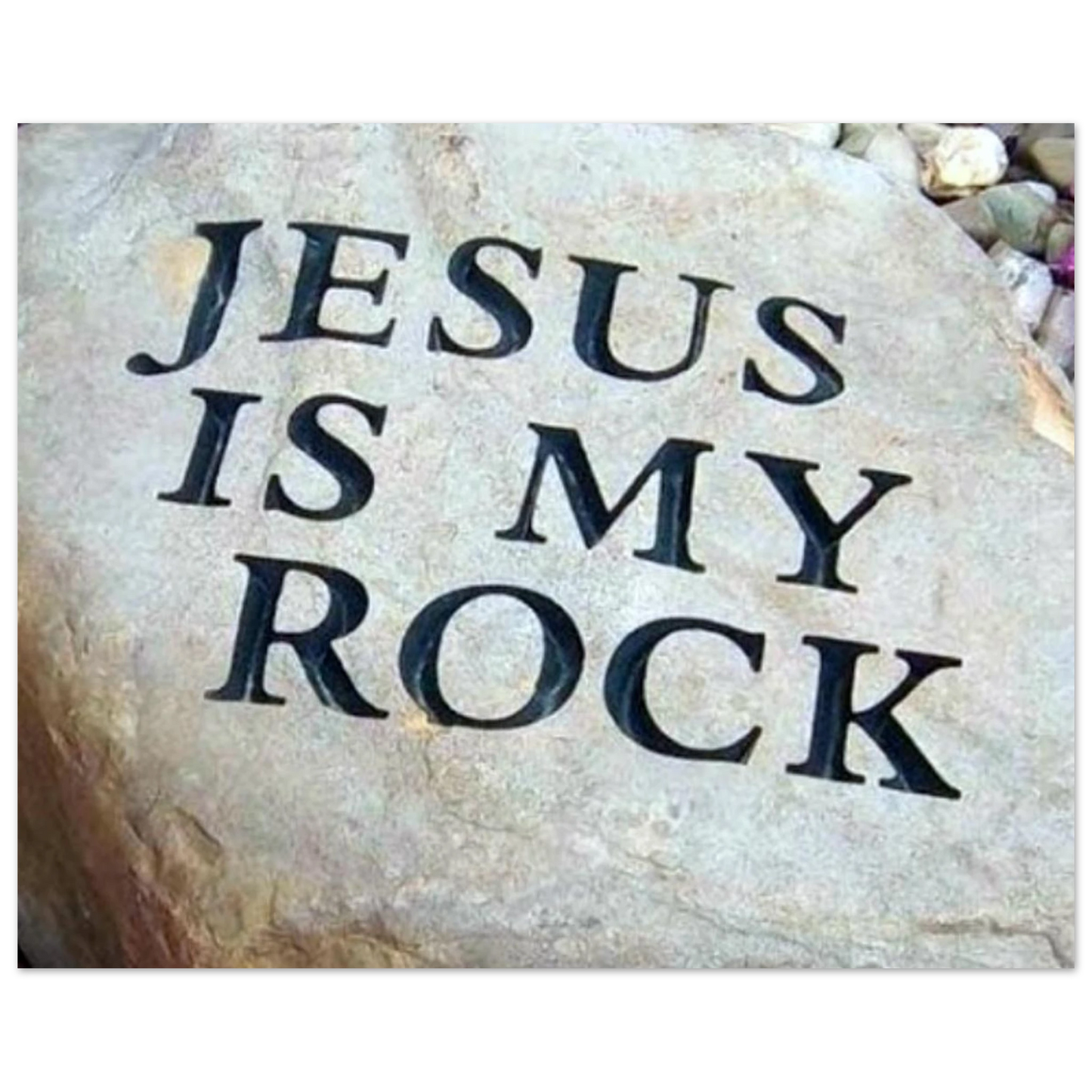 286b4955-106a-406a-a347-4ea86d026e88