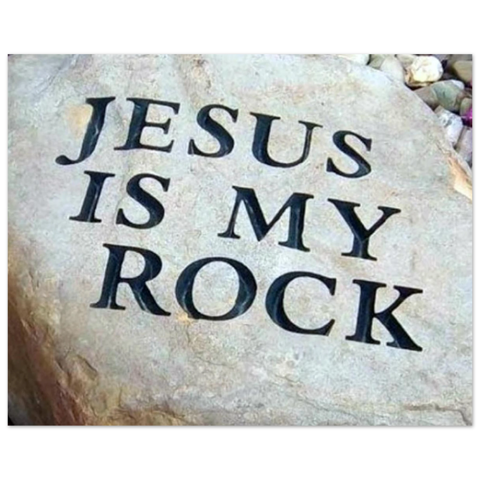 286b4955-106a-406a-a347-4ea86d026e88