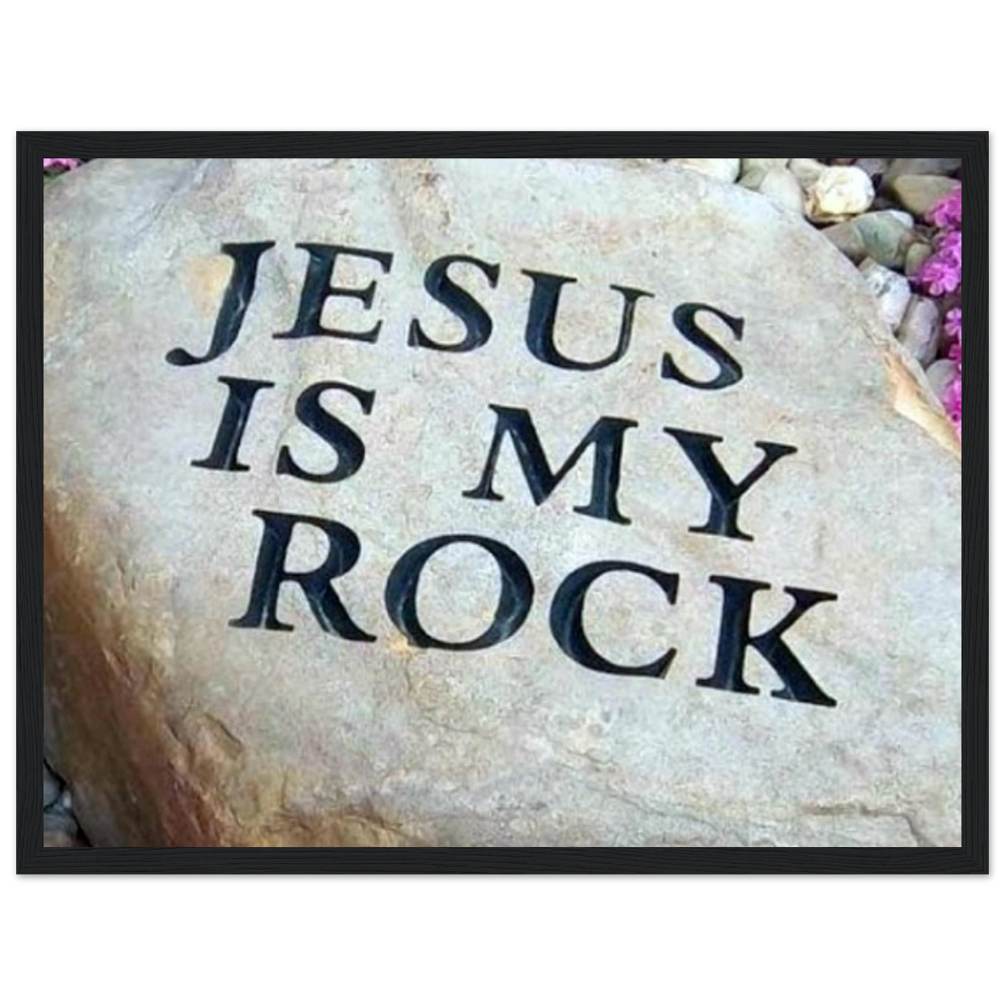 336bbe69-8eec-4459-ab0a-daeae62b6502