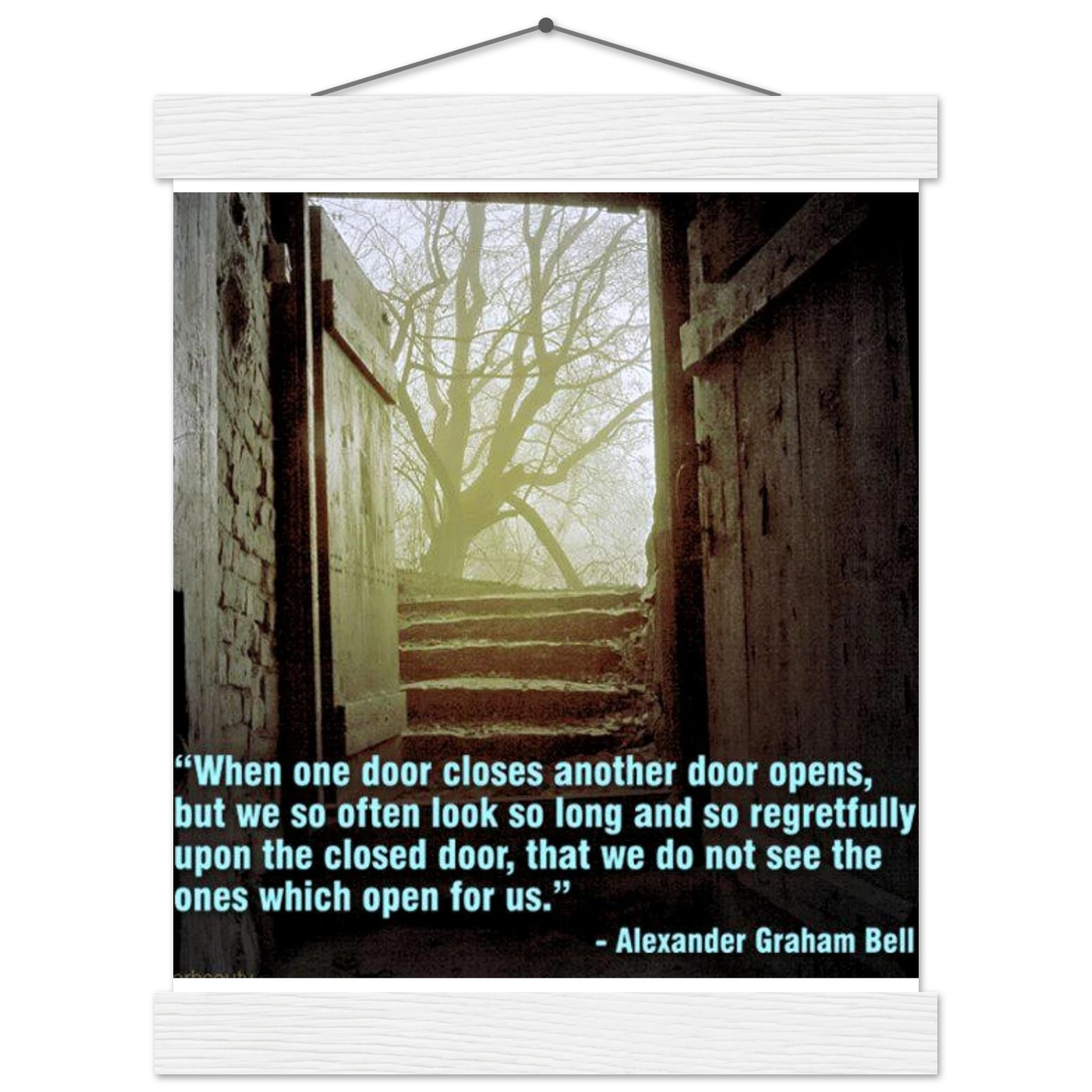 33a57855-543a-4f4d-bcfa-09da4d3bd54d