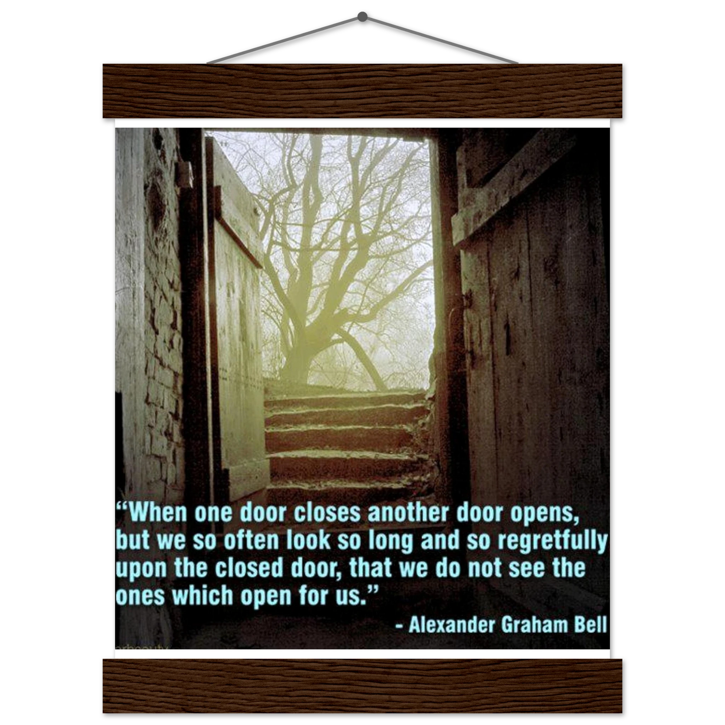 97da1317-d112-4ae0-a48e-8dac4036d796