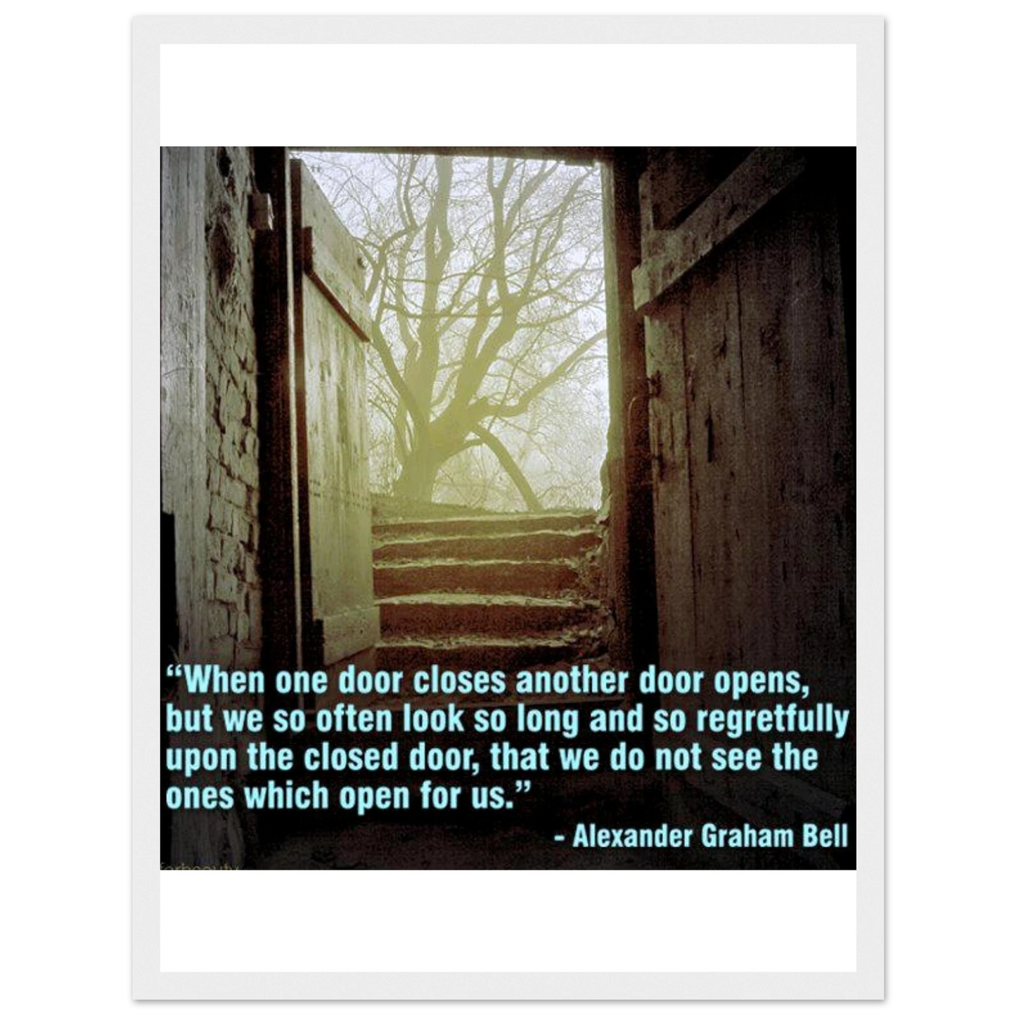 980fedfb-befc-4800-9012-7960e91834ce