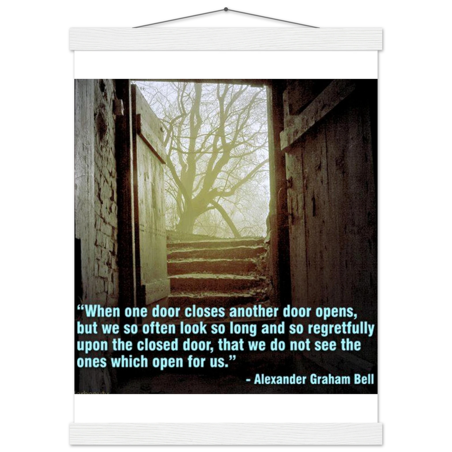 a0c25a9e-a73c-4fd9-bc03-eebe2e40174c