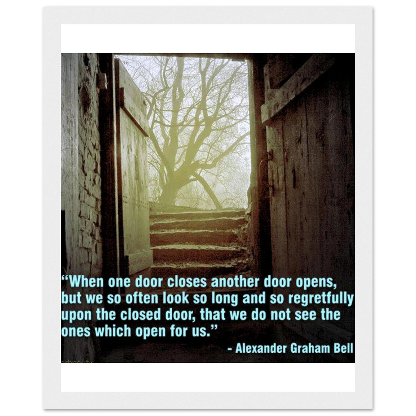 e7b40429-ee9d-4f9a-beb1-68ce2c858c9a