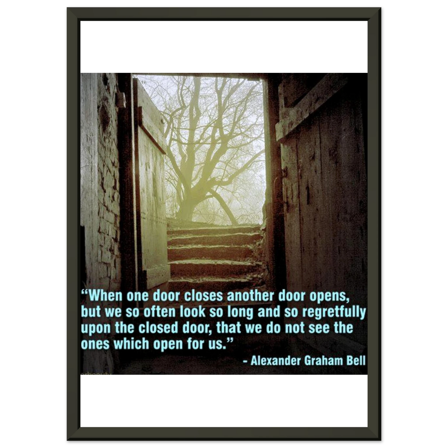 f21dd6d3-88d7-44fd-88b0-aa69a1cf3680