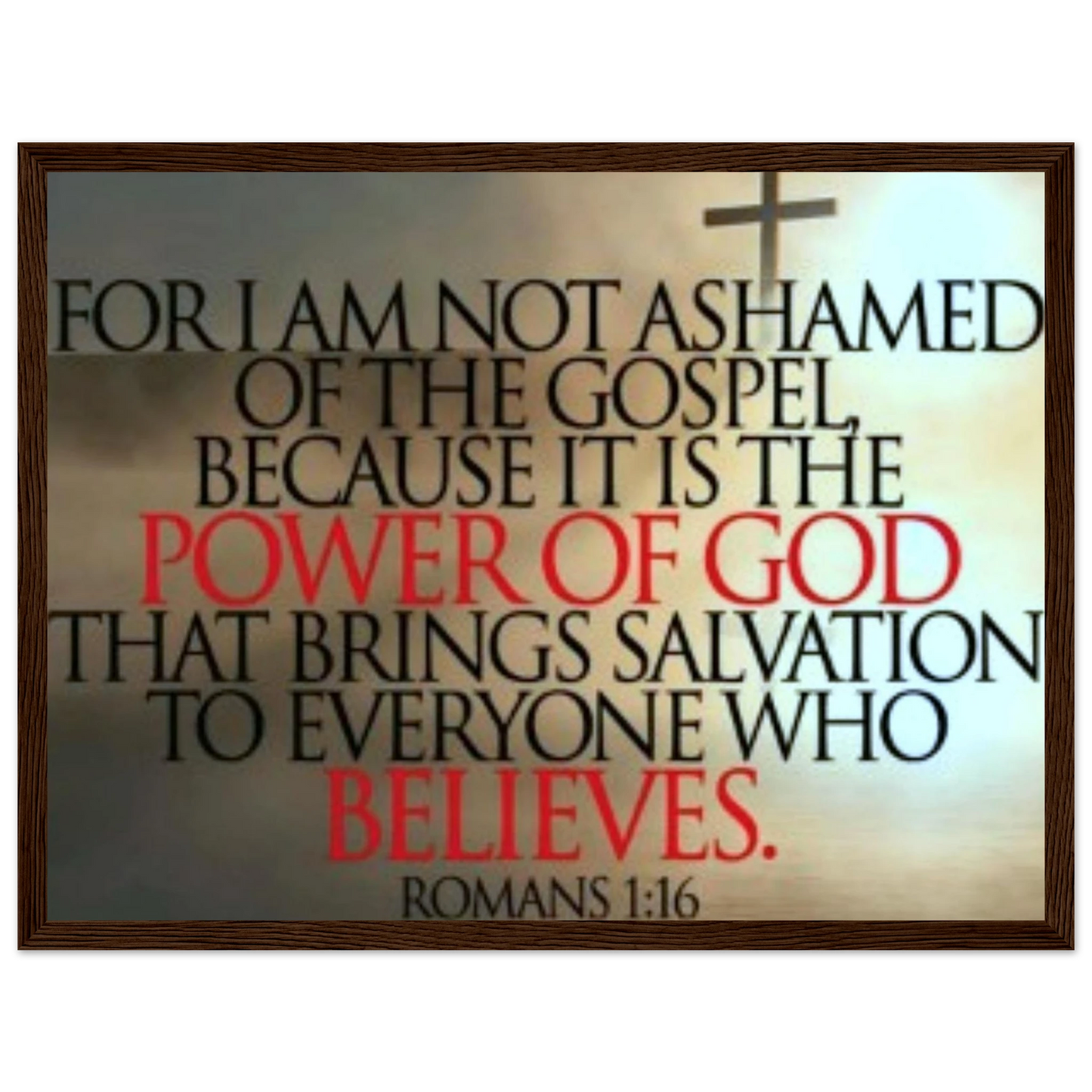 fc226f9d-608b-4ad7-9278-c25969f4207d