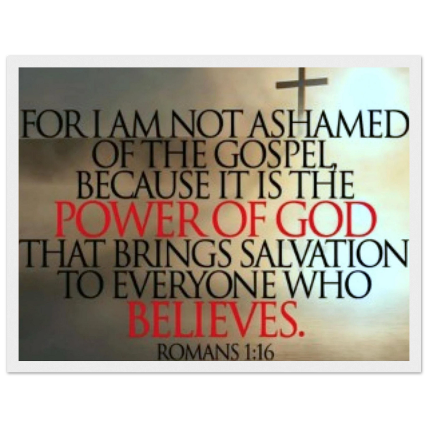 ff346345-e868-4288-88af-da57237d19c7